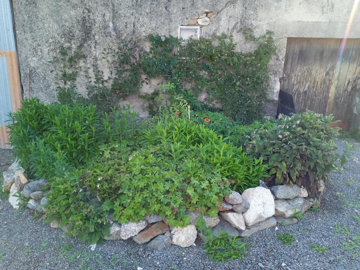 Chez Gondat Chambre D'Hotes Saint-Martial-sur-Isop Екстериор снимка